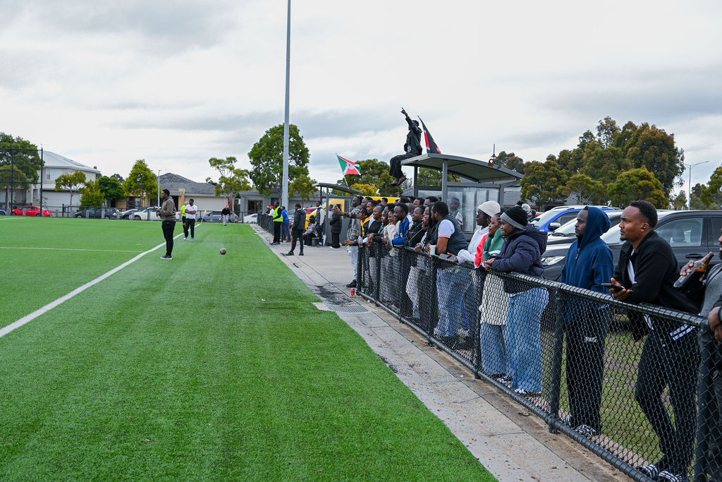 fans watch on